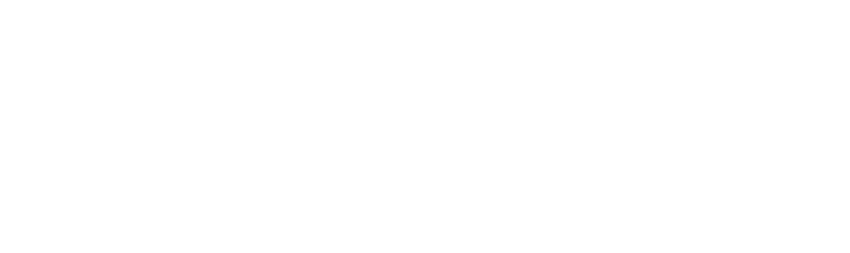İntegral Bilişim